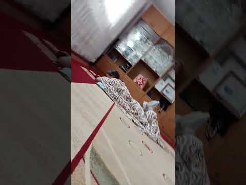 аниса сагыньай Актогай