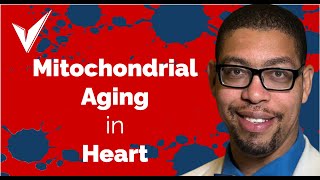 Aging, Mitochondria, and the Heart - Dr. Antentor Hinton, Jr.