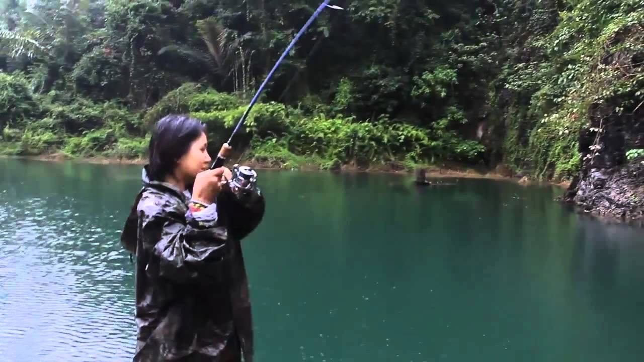 Present Palms Baymatic Fishing Rods 2012 YouTube