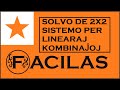 SOLVO DE SISTEMO 2X2 PER LINEARAJ KOMBINAĴOJ (ESPERANTO)