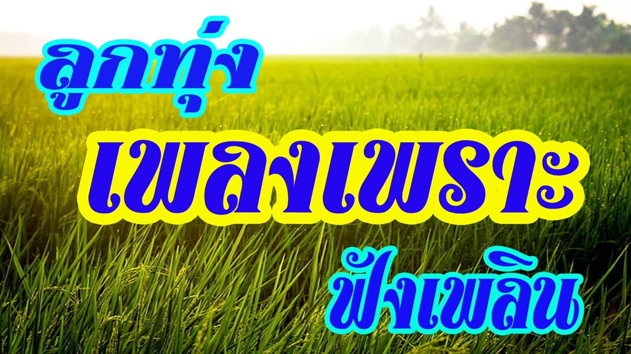 ลูกทุ่งเพลงเพราะฟังเพลิน