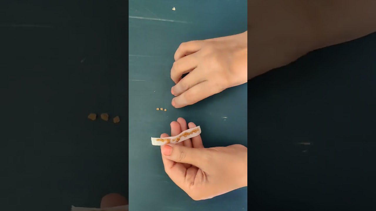 Hot Flushes or Cold Flushes Seed Therapy 