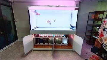 Bank ประชาอุทิศ 57 - งาน Overflow Full Services ตู้ปลา 72 36 36 กรองล่าง 60 (งานใหม่ตู้ปลา) Set 3