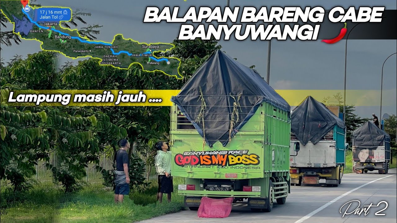 Gara2 ini‼️Trip truck c4b3 metro Lampung terpal ambrol lagi 🌶️ (Part 2)