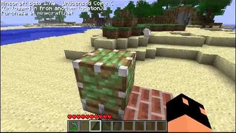 [PorkChopped] Minecraft Piston Bug