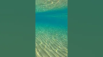 Cam Gibi Deniz YeniFoça Eskifoça Izmir Türkiye Shorts 