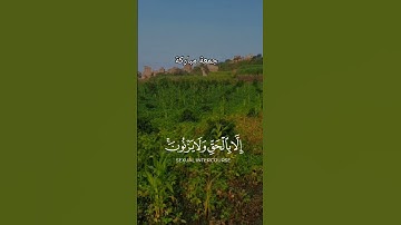 جمعة مباركة تلاوات خاشعة