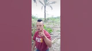 4 Agustus 2023