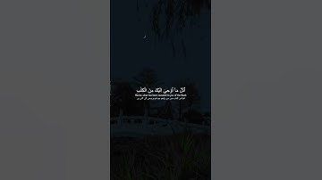 سورة العنكبوت آیات 43-45 #allahuakbar #muhammadﷺ #قرآن