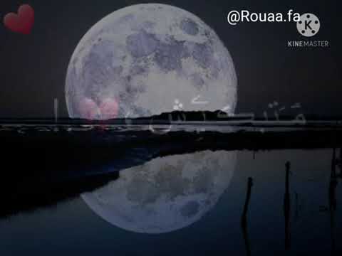 أغنية يادنيا كولي لي 