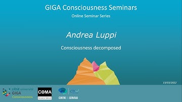 Andrea Luppi - Consciousness decomposed