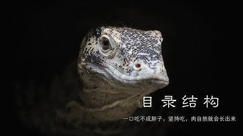 熟悉最常用的目录，快速掌握最基本的 laravel 开发流程