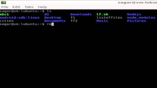 How to force delete a file in Linux