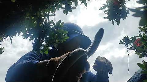 Lại một ngày thăm bẫy rắn nửa nghe cả nhà, hôm nay dính cũng im lắm cả nha.