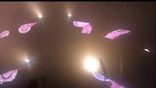Beyond Wonderland 2021 Day 2