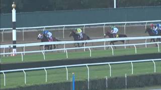 Transparent - 2014 1 Mile 1/16 Track Record