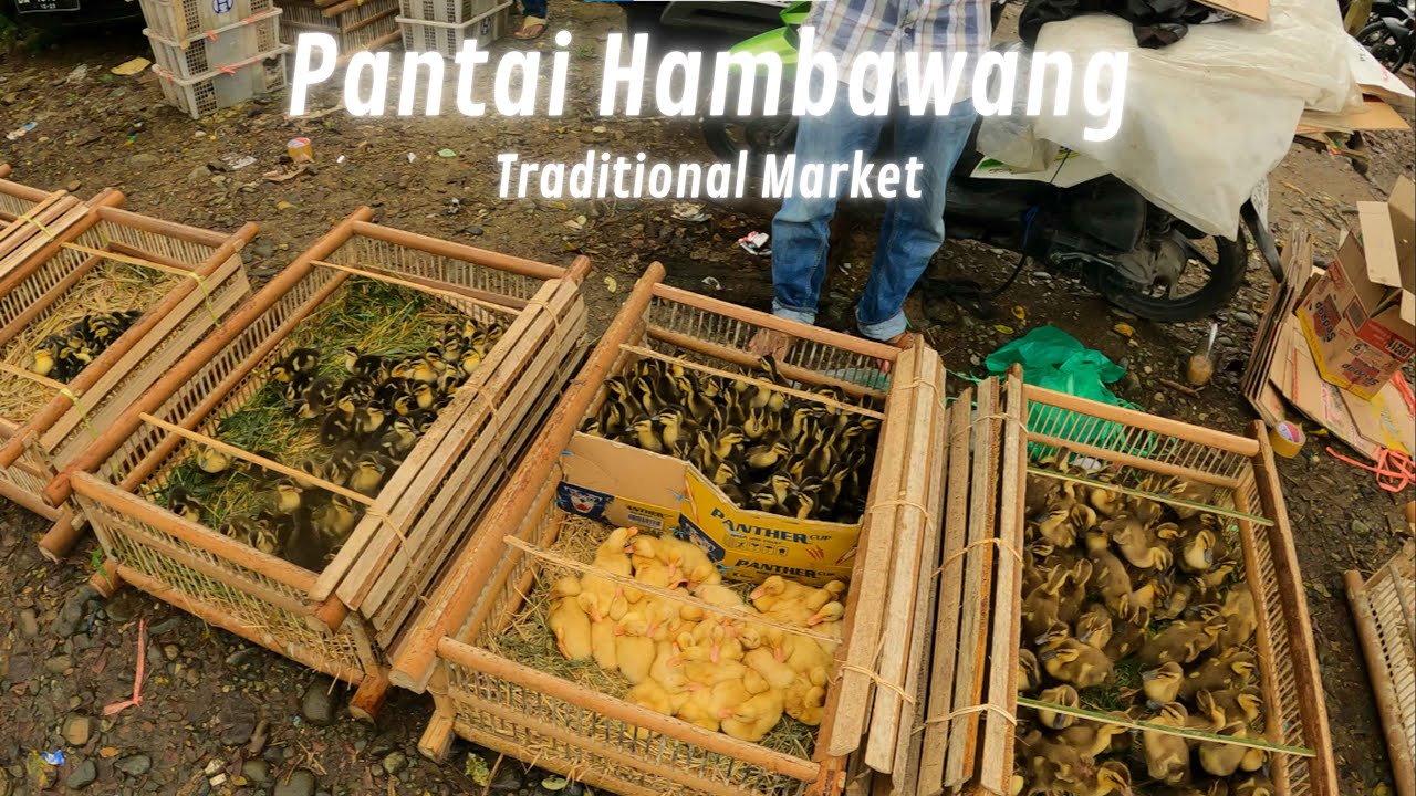 PASAR PANTAI HAMBAWANG, KULAKAN ANAK ITIK ,ADA SAMU KAPAYANG ; Pantai Hambawang Traditional Market.