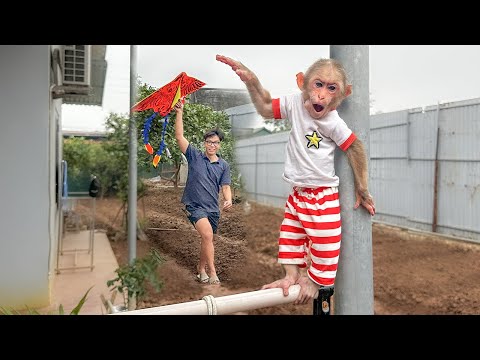 لالا تجرب الطيران بالطائرات الورقية مع والدها وهي لعبة شعبية فيتنامية