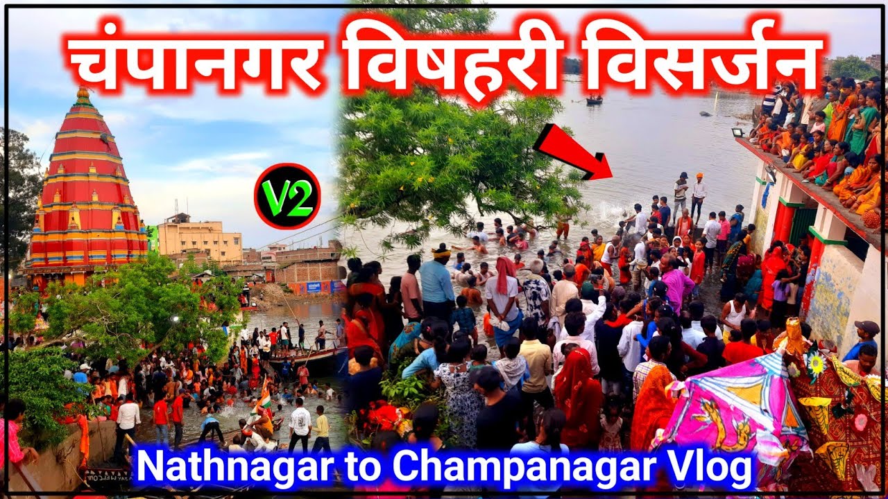 चंपानगर विषहरी पूजा विसजर्न | Champanagar Bishari Puja Visarjan | Nathnagar to Bhagalpur Vlog 