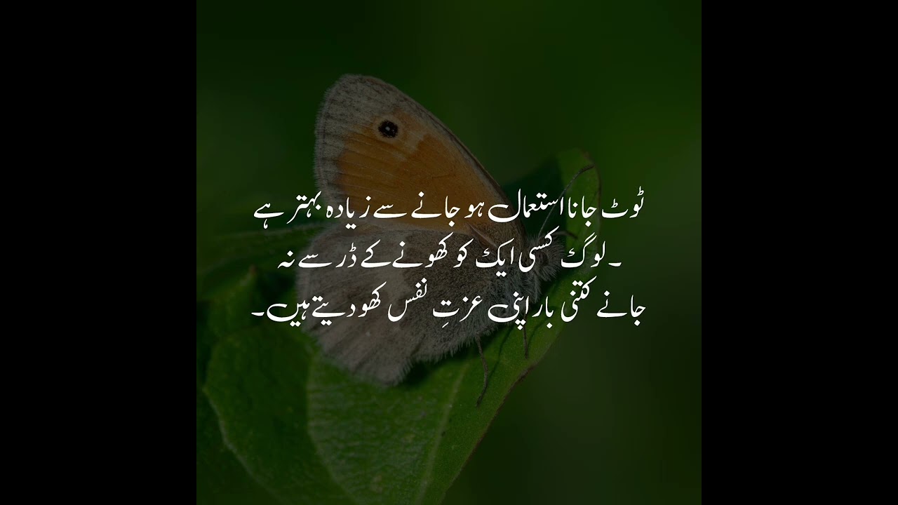 Life Changing Quotes | Golden Words In Urdu| Urdu Quotes Heart Touching | 