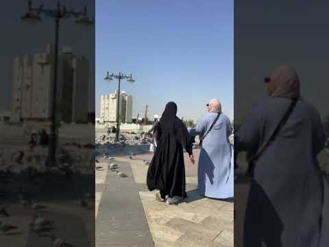 الحمام في المدينة 