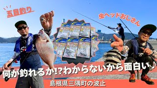 沖波止で【虫ヘッド】を使った秋の五目釣りに挑戦！【フィッシングトリップ】