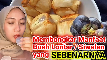 APA MANFAAT BUAH SIWALAN / LONTAR ❓ BERIKUT INI ULASANNYA