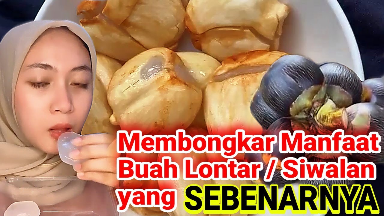 APA MANFAAT BUAH SIWALAN / LONTAR ❓ BERIKUT INI ULASANNYA