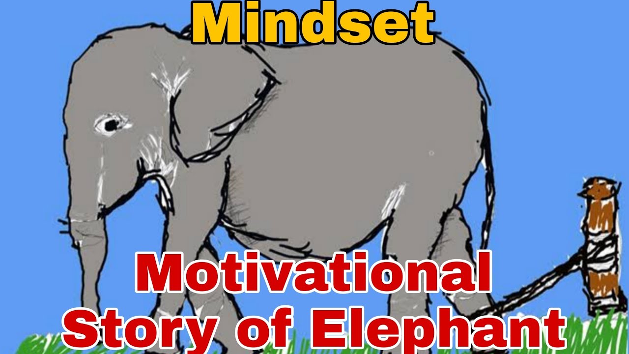 The motivational story of Elephant | Mindset of elephant | Inspiration
