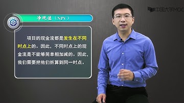 3 1 1  净现值法（NPV）