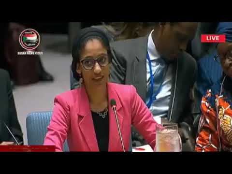 الكنداكة الاء صلاح تتحدث في مجلس الأمن الدولي بنيويورك 29 اكتوبر 2019