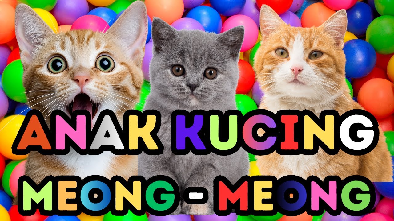 Sweet Kittens Exploring the Garden – Cute Cat Sounds & Peaceful Vibes