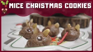 VEGAN CHOCOLATE CHIA MICE COOKIES
