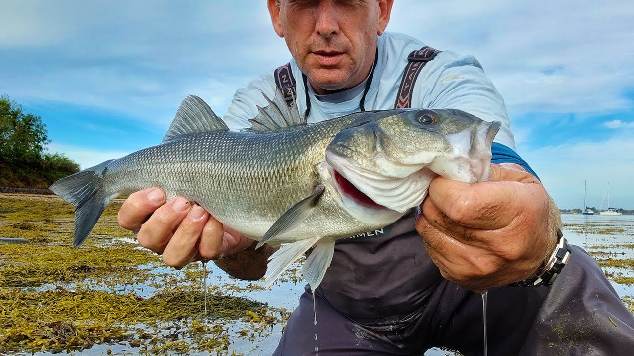 Lure Fishing For Bass In Flat Calm Conditions Isn’t Always Better