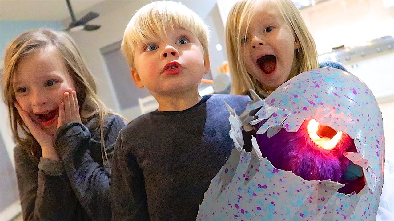 canon definicion HATCHIMAL HATCH DAY PROBLEM!