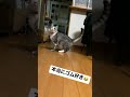 ふうはゴムがお好きみたい…😍