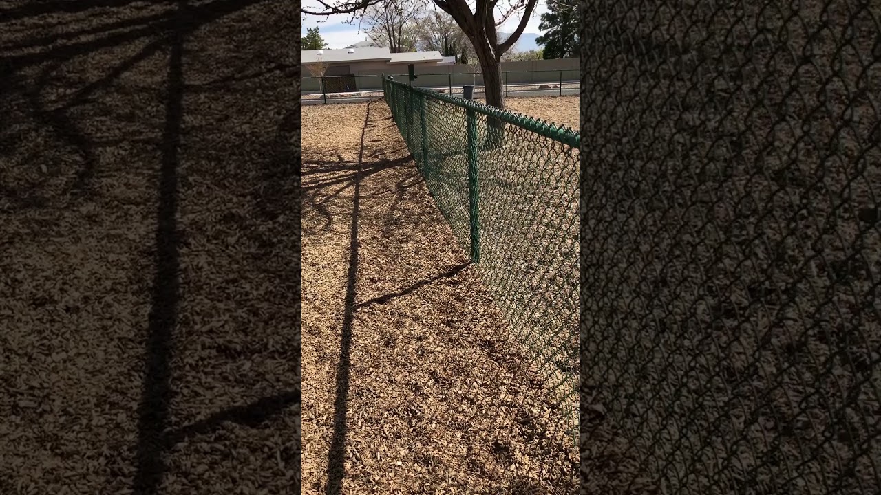 Santa Fe Village Dog Park 