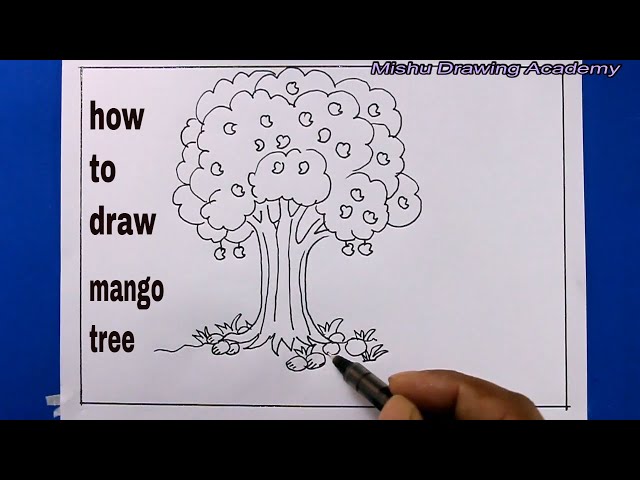 Premium Vector | Hand drawn sketch mango tree illustration