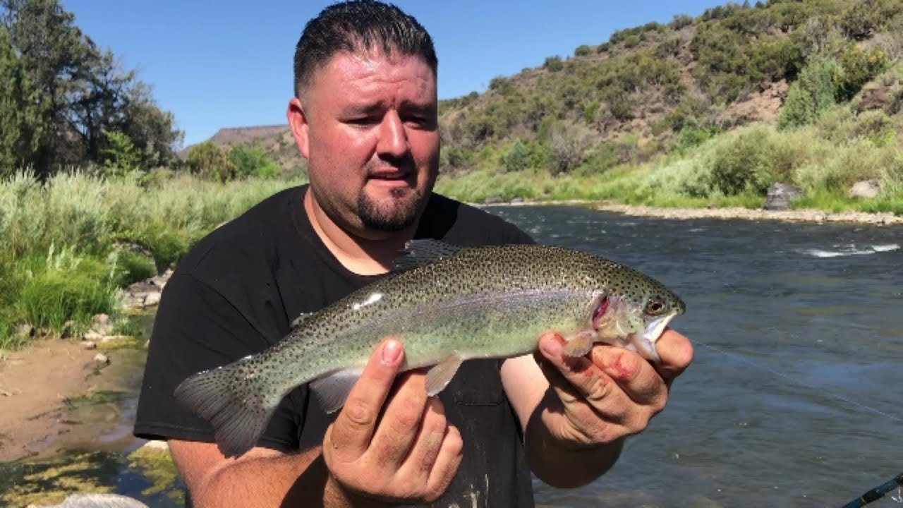 Fishing the Rio Grande River at Taos YouTube