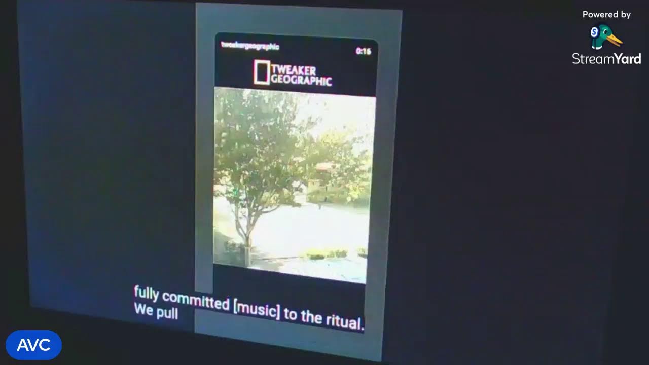 *Special Guest Appearance* - Sickos As Weapons For The Establishment...