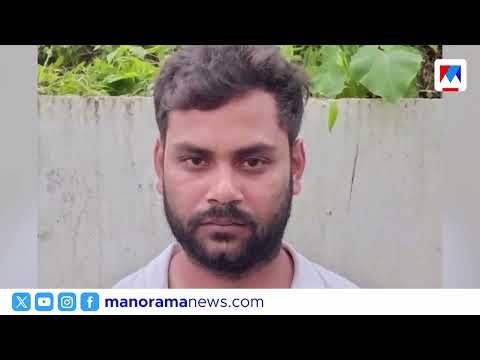 പെരുമ്പാവൂരില് വന് കഞ്ചാവ് വേട്ട; 90 കിലോ കഞ്ചാവ് പിടികൂടി | Ganja