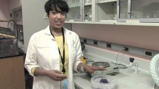 Famous Spark!Lab Activity: Create Your Own pH Indicator Net Worth