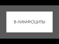 Иммунная система 4. В-лимфоциты, антигенпрезентирующие клетки, NK-клетки.