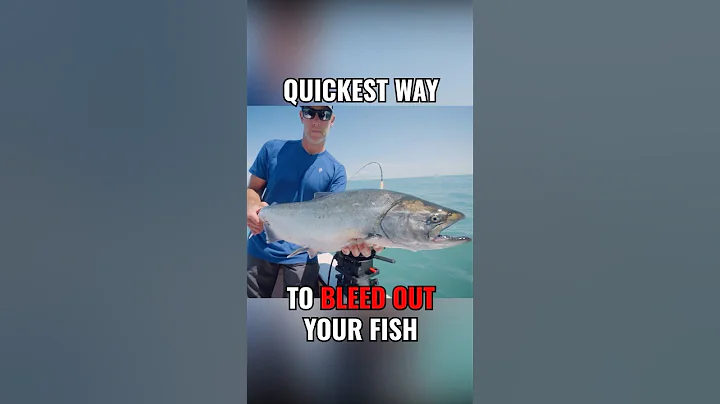 The Quickest and Easiest Way to Bleed Out Your Fish 🎣👊