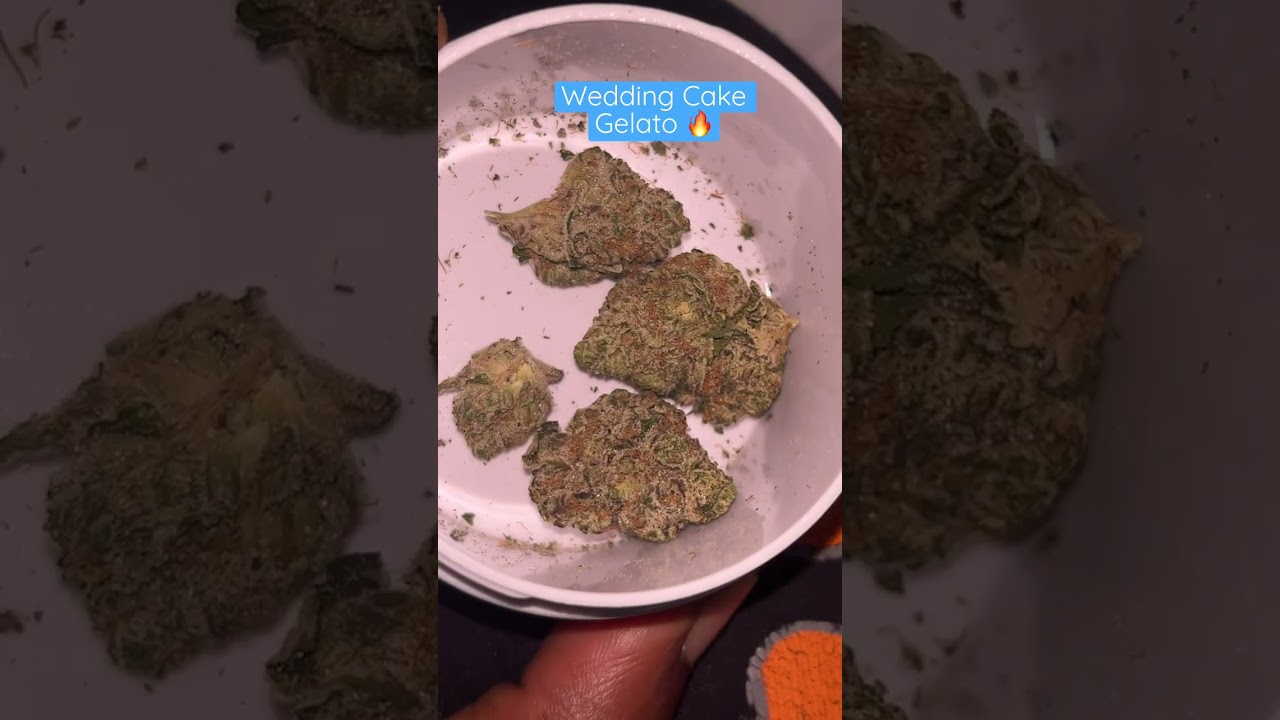 Wedding Cake Gelato 🥶