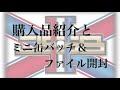 RAISE THE FLAG”購入品紹介と開封「三代目 J SOUL BROTHERS」