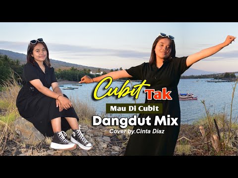 Disco Reggea Dhut🔥CUBIT TAK MAU DI CUBIT ( By Cinta S.Diaz ( Official V.M )