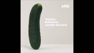 pdqb – Reklonstrusion (Martin Matiske Remix)