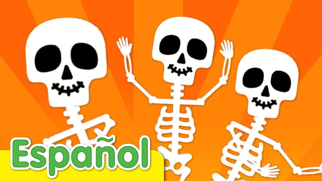 Esqueleto de dibujos animados png  PNGEgg