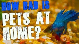 Buying fish from Pets at Home  Is it that bad?